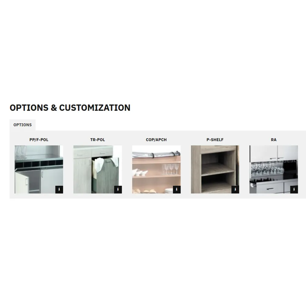 Waiter Station ROCAM 015INPOL2CH
