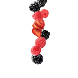 Purée 1883 275202160100