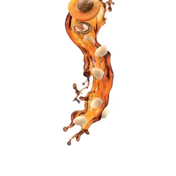 Syrup 1883 275202160015