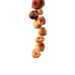 Syrup 1883 275202160106