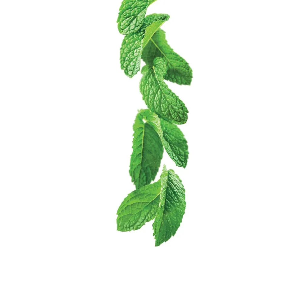 Green Mint Syrup 1 l