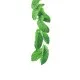 Green Mint Syrup 1 l