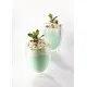 Green Mint Syrup 1 l