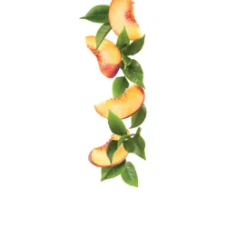 Syrup 1883 275202160026