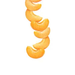 Syrup 1883 275202160016