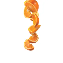 Syrup 1883 275202160040