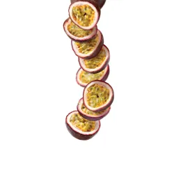 Purée 1883 275202160097