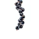 Blackcurrant Syrup 1 l