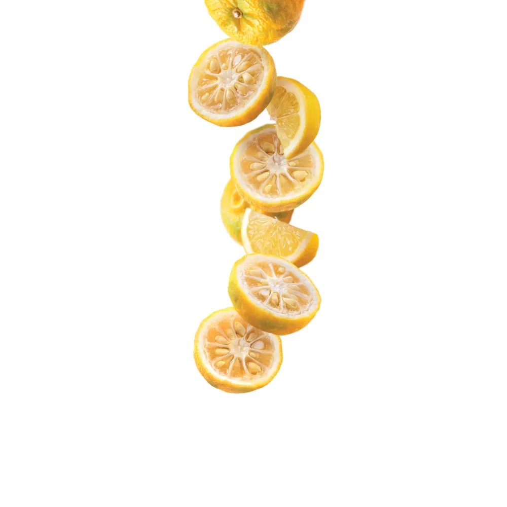 Yuzu Lemon Syrup 1 l