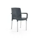 Outdoor chair BHS-HoReCa 3G-DianaChair