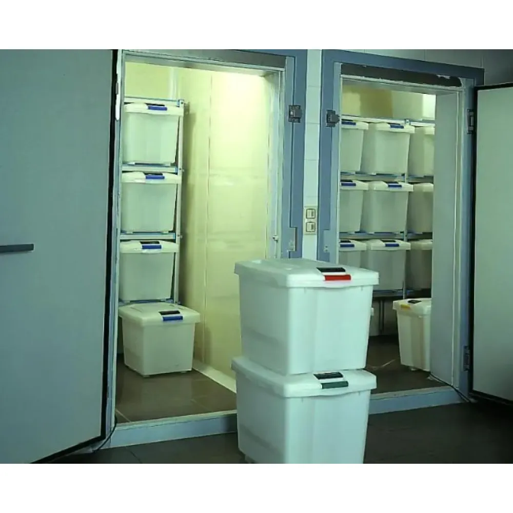 Food Storage Container ARAVEN AR01850