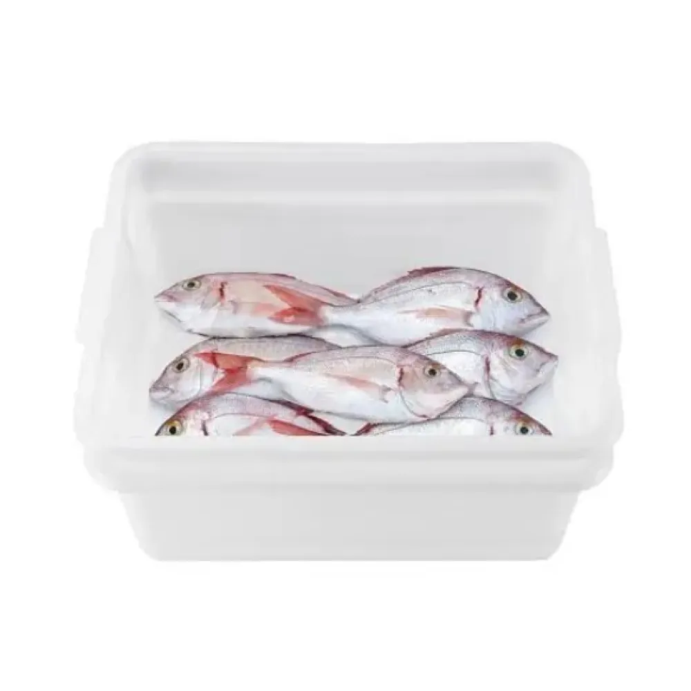 Food Storage Container ARAVEN AR01260