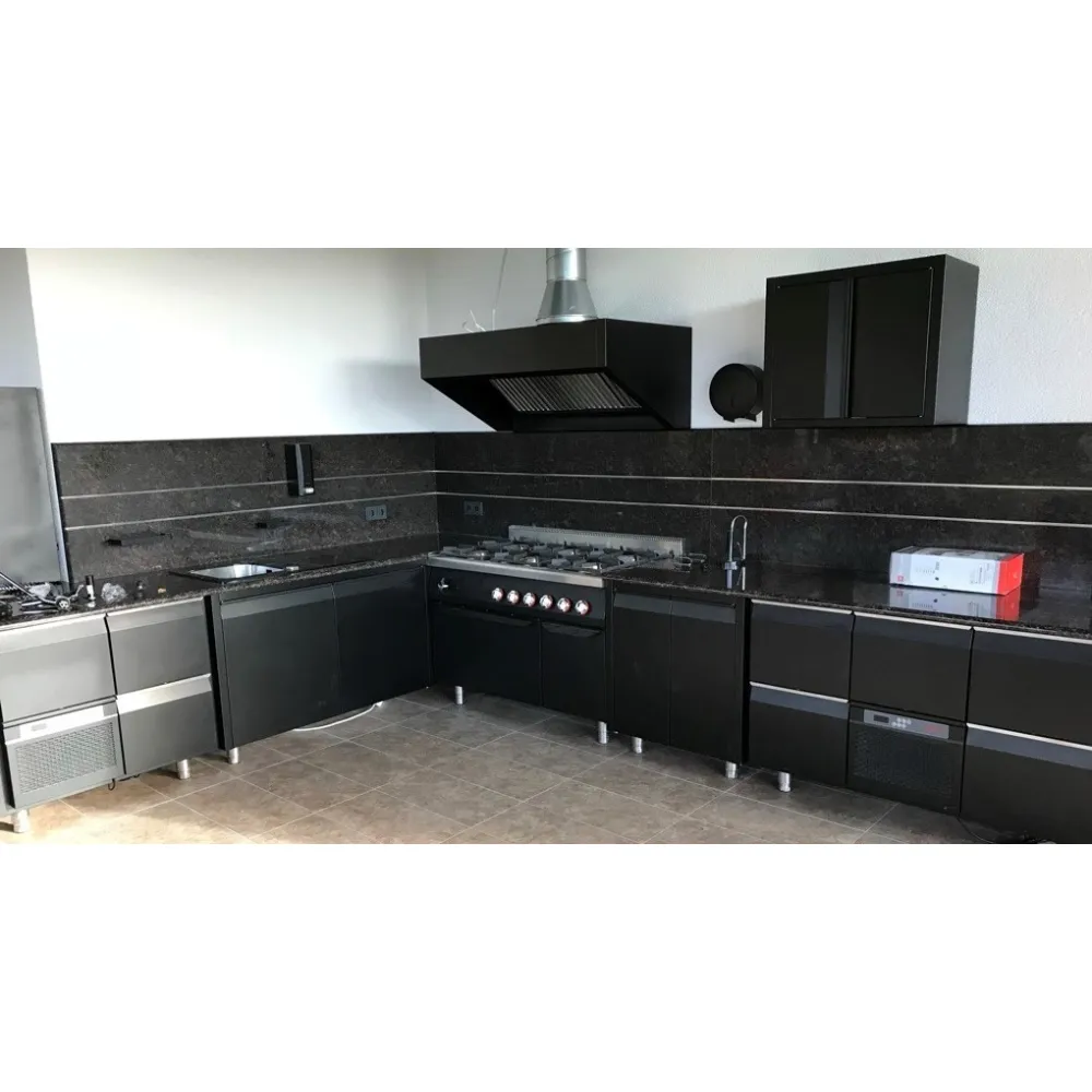 Professional kitchen for a private home BHS-HoReCa NN87