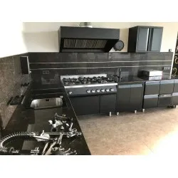 Professional kitchen for a private home BHS-HoReCa NN87