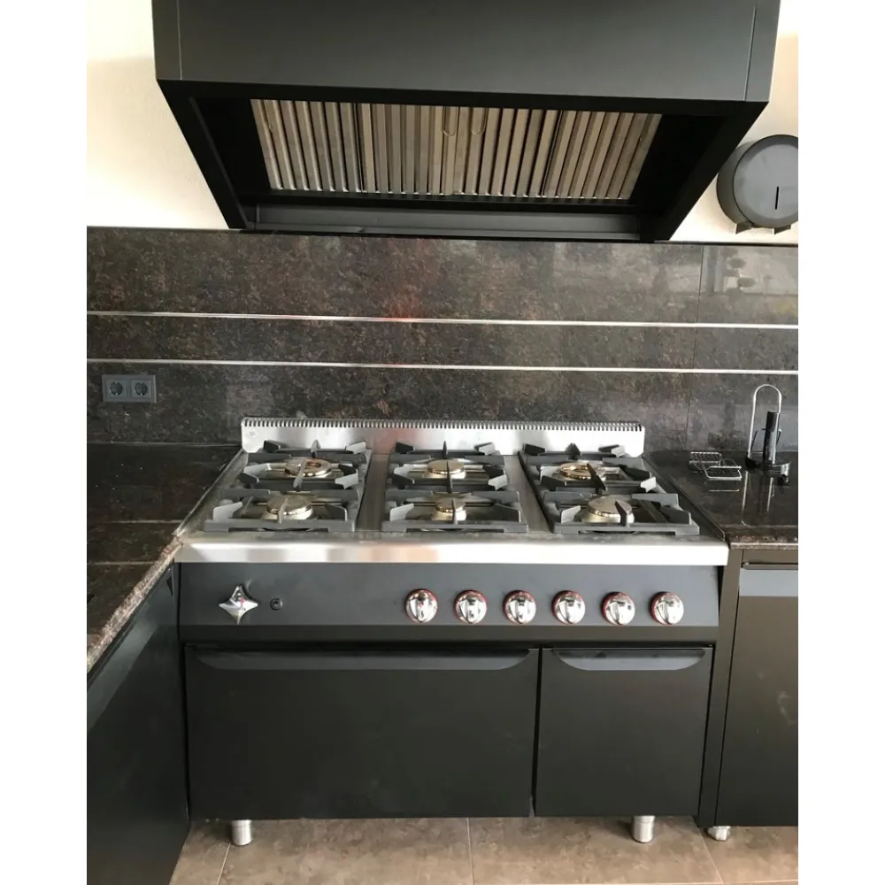 Professional kitchen for a private home BHS-HoReCa NN87