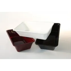 GN tray in PMMA Dupont A00001569