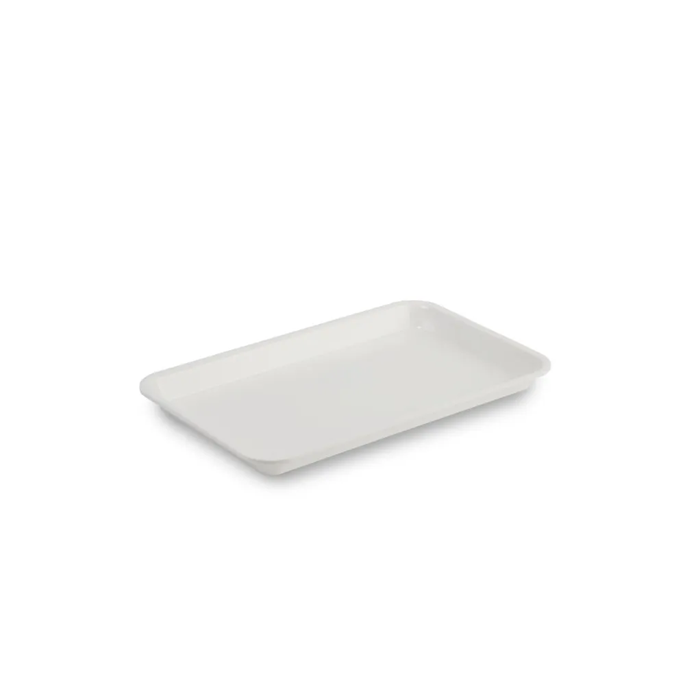 GN tray in PMMA Dupont A00002757