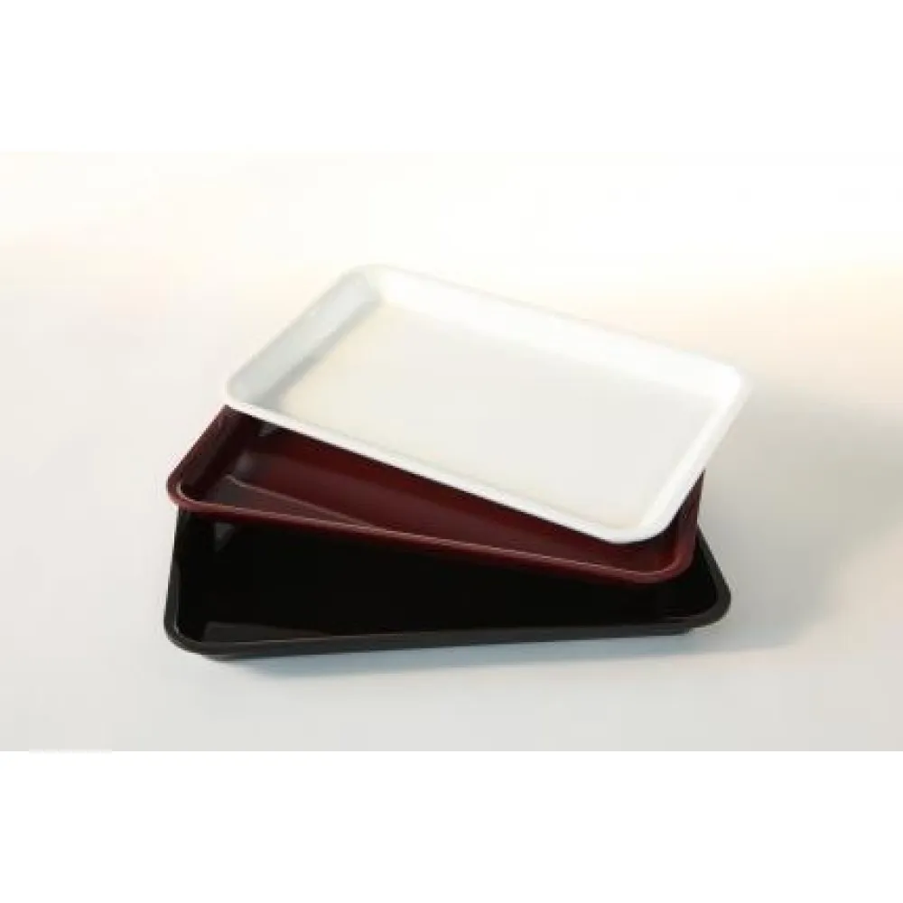 GN tray in PMMA Dupont A00002757