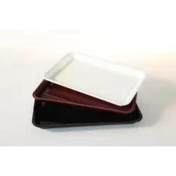 GN tray in PMMA Dupont A00002757