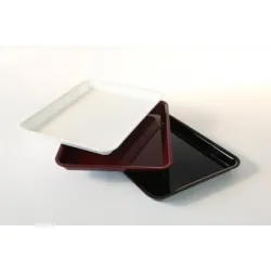 GN tray in PMMA Dupont A00004955
