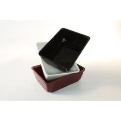 GN tray in PMMA Dupont A00006228