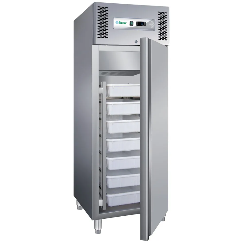 Refrigerator FORCAR G-GN600FISH