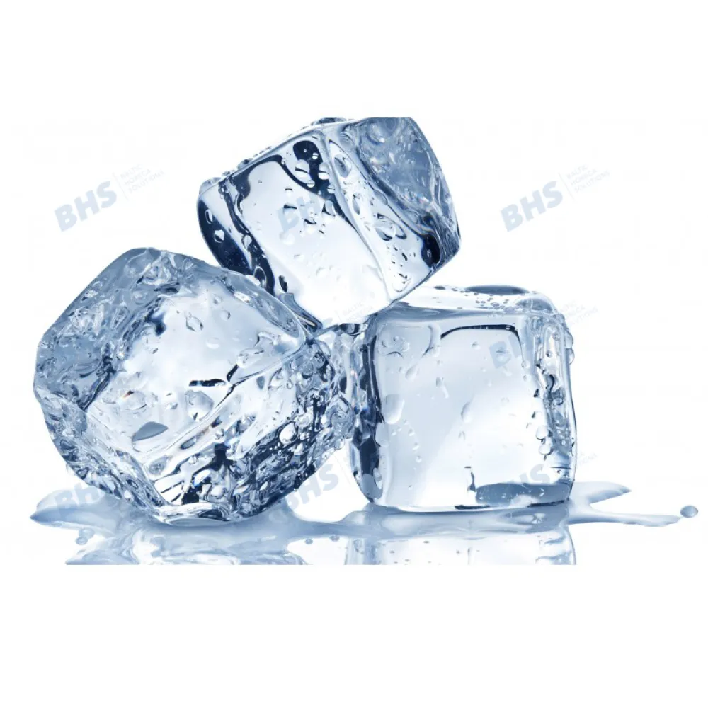 Ice maker ICE TECH 21520U