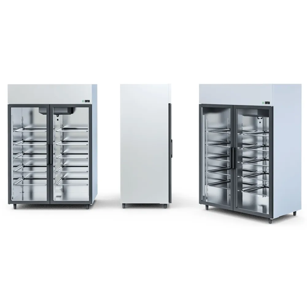 Refrigerated Display Cabinet IGLOO OL100.2/AG/GASTRO