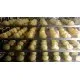 Electric convection oven Inoxtrend FXDA604E