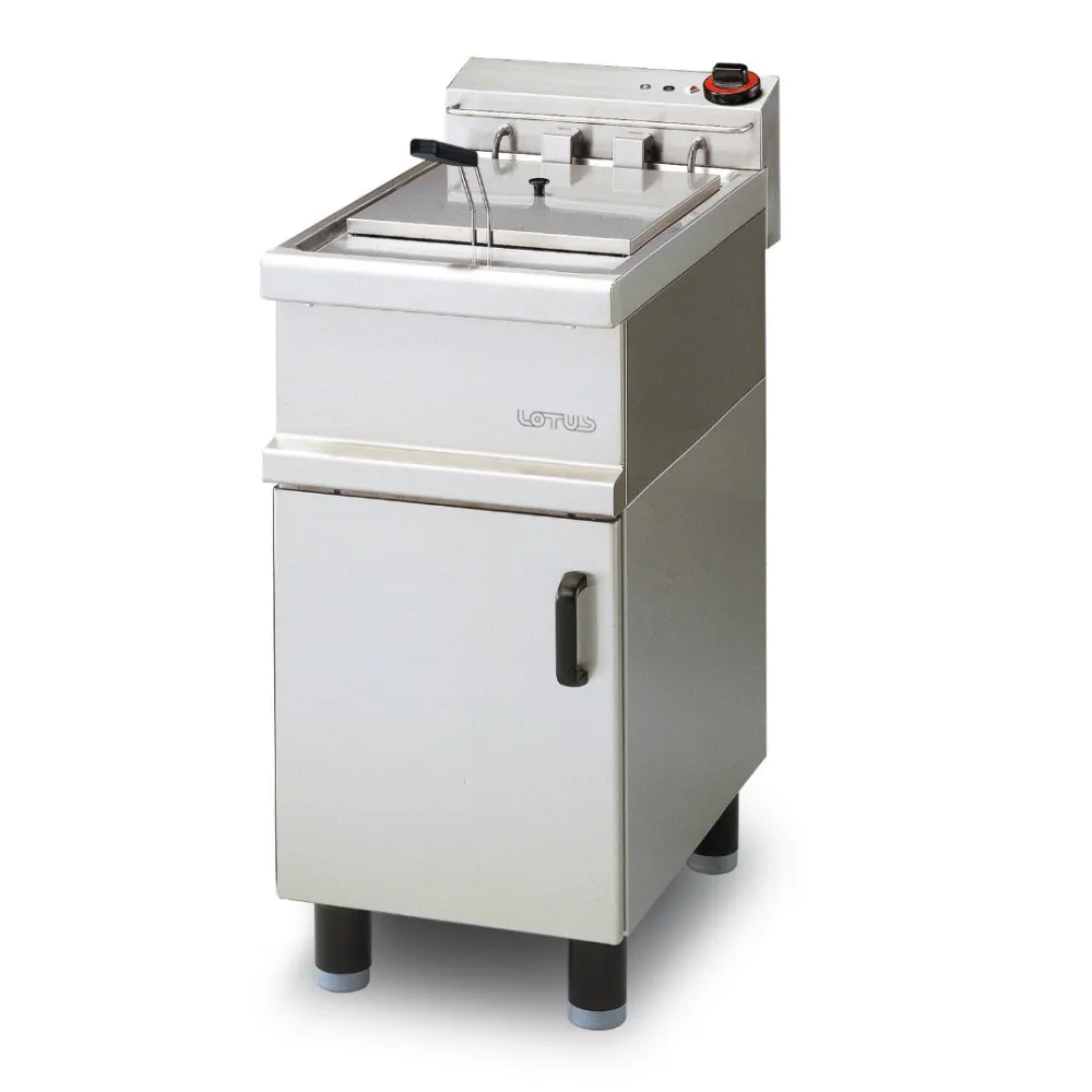 Electric fryer LOTUS 35311530