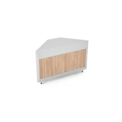 Neutral module ROCAM 01900OMCRN90
