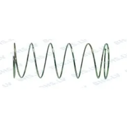 Non-return valve spring LF L1250071