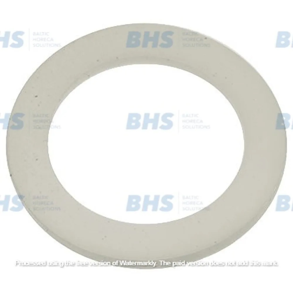PTFE flat gasket LF L1186179