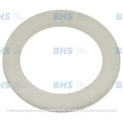 PTFE flat gasket LF L1186179