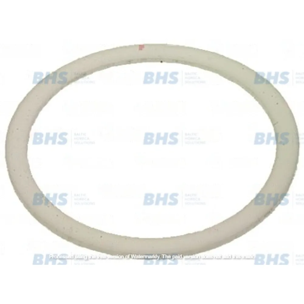PTFE flat gasket LF L1186194