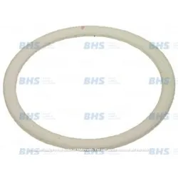 PTFE flat gasket LF L1186194