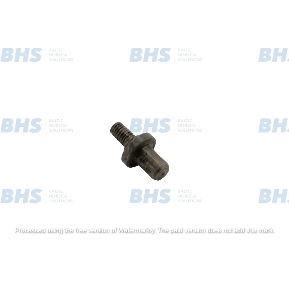 Hinge pin Tefcold SpareParts 12911