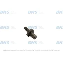 Hinge pin Tefcold SpareParts 12911