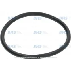 O-ring LF L1186707