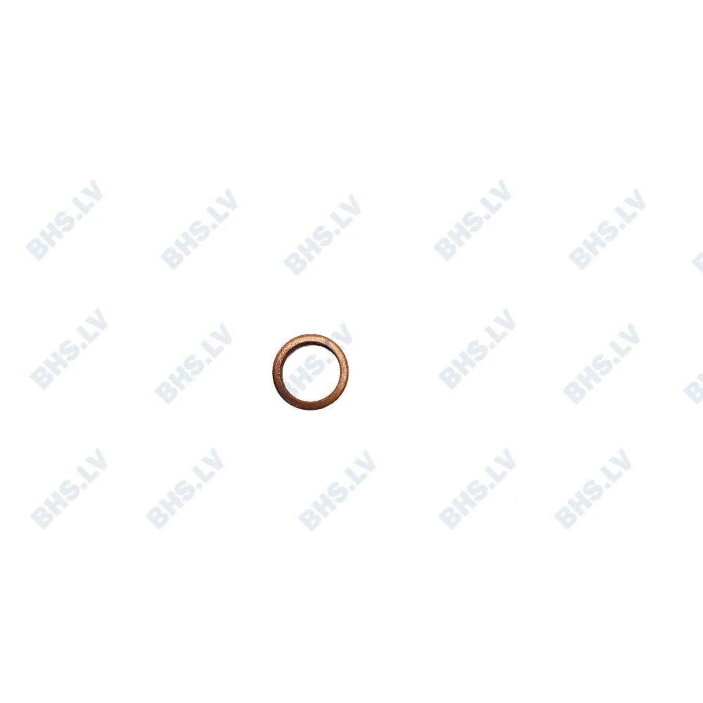 Flat gasket SCHAERER Spare Parts 3315558000