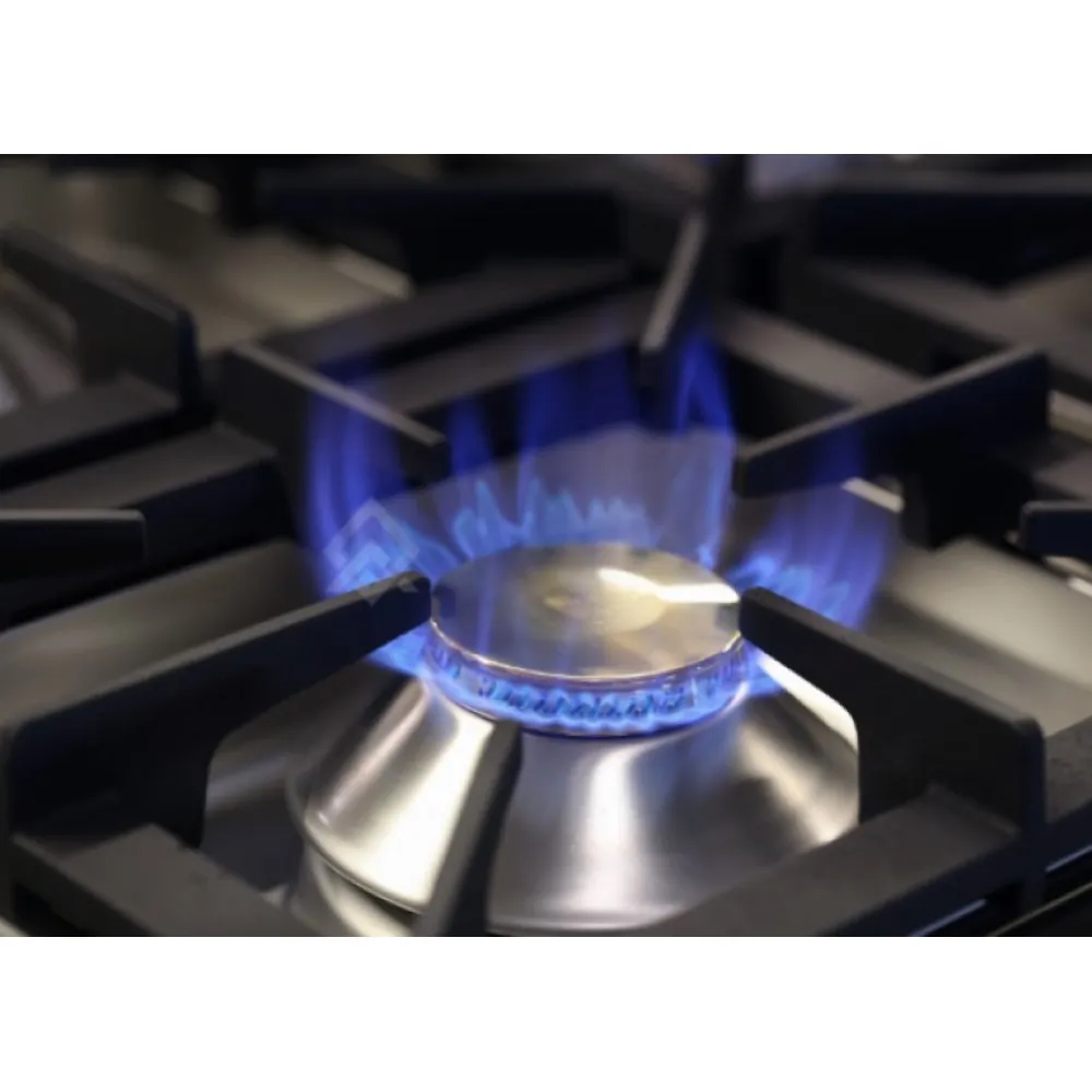 Tabletop gas hob BHS-G GC2000-040EV