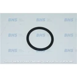 Gasket LF L1585008