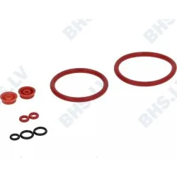 Coffee group repair kit LF L1901111