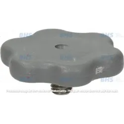 Rinse arm locking bolt LF L3243833