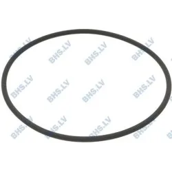 O-ring LF L5501389
