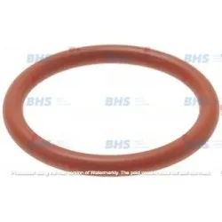 Orm gasket LF L1486015