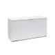 Chest freezer TEFCOLD EBC53