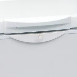 Chest freezer TEFCOLD EBC35