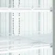Freezer TEFCOLD F2DB
