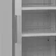 Display freezer TEFCOLD UFSC1450GCP-NF-SILVER